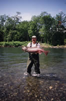  (king salmon)